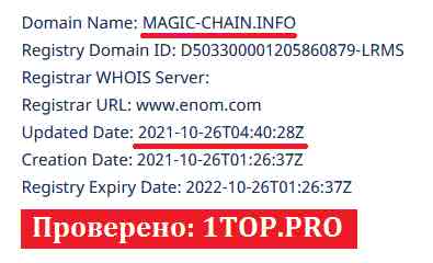 1top.pro Magic-Chain