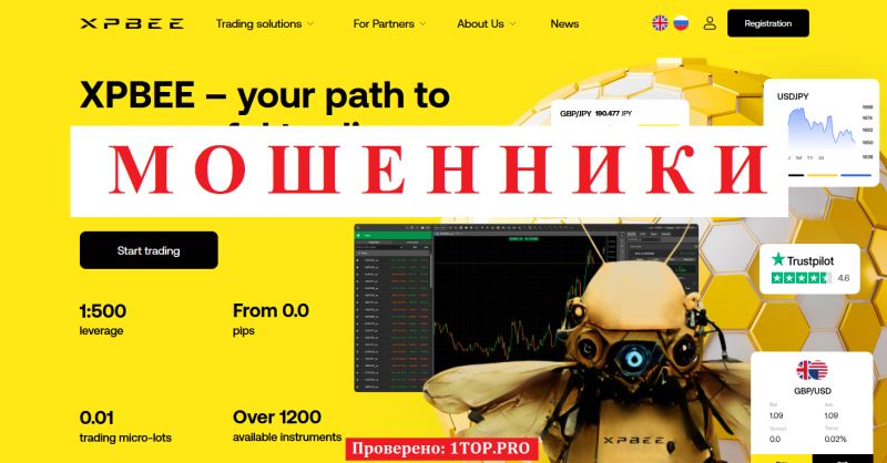 XPBEE отзывы: почему брокеру xpbee.pro нельзя доверять