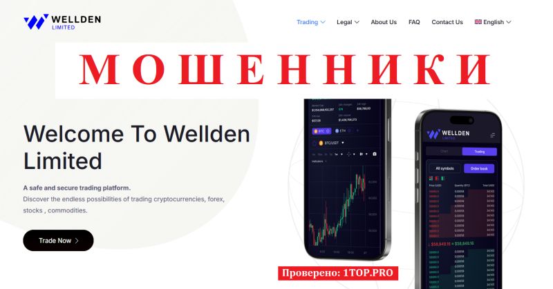 Wellden Limited отзывы — обзор брокера welldenlimited.com